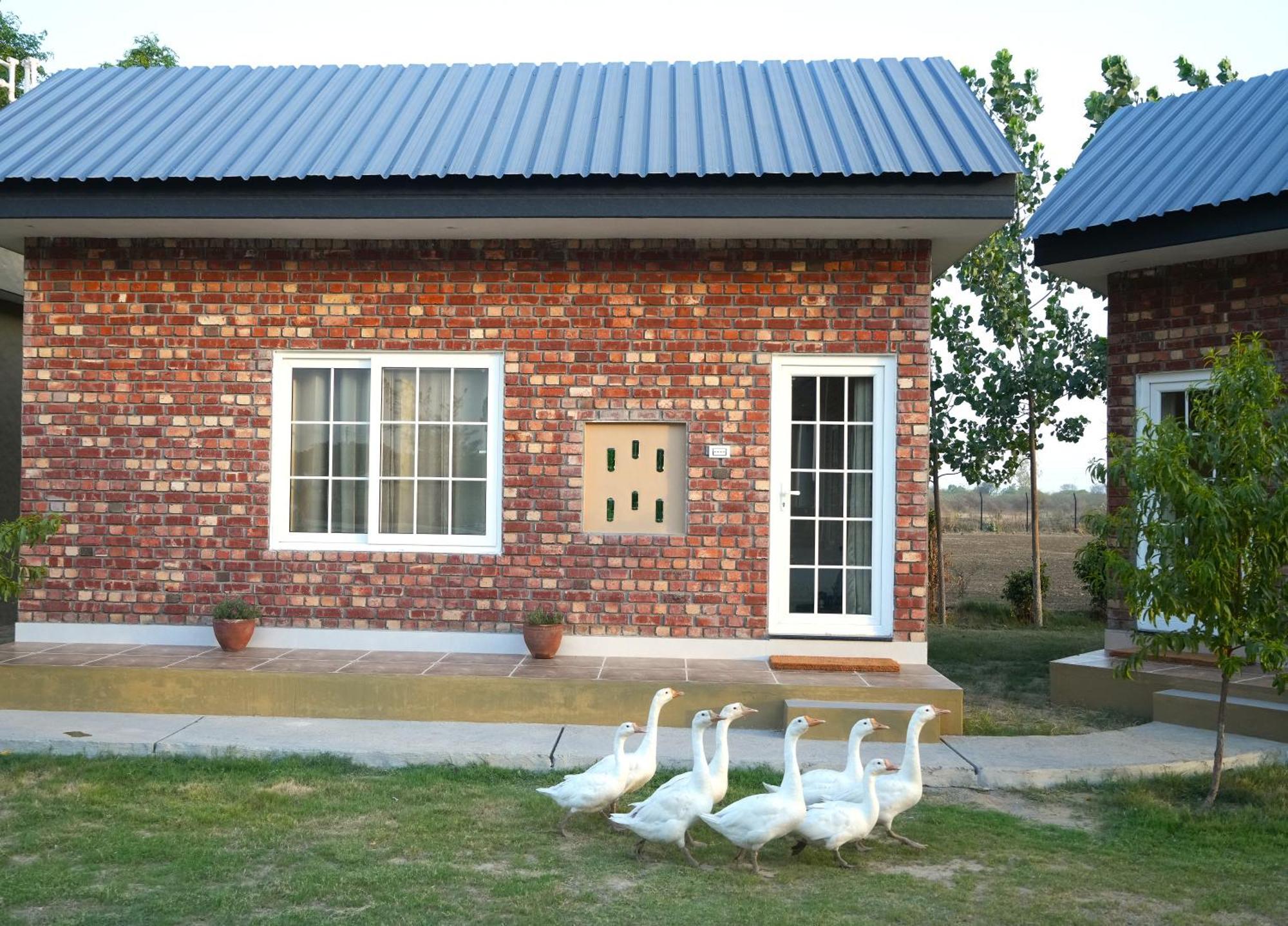 Rustic Roots Farm Stay Attari Экстерьер фото